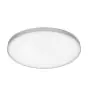 Ledvance LED Panel round Planon Frameless 19W 1600lm - 830 Warm White
